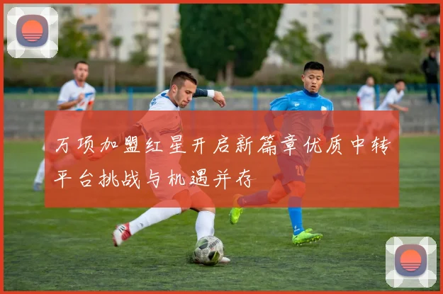 万项加盟红星开启新篇章优质中转平台挑战与机遇并存